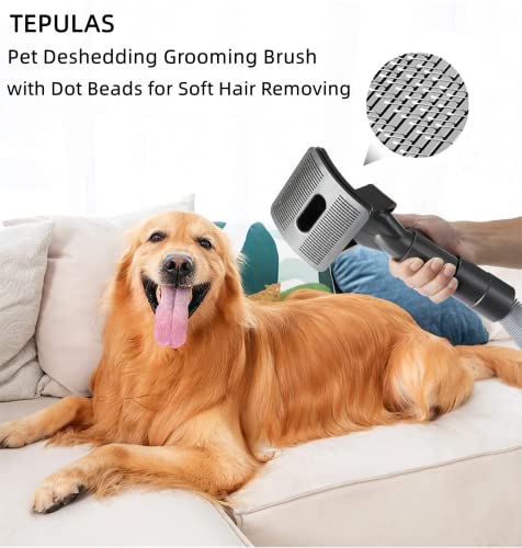 TEPULAS Hundebürste für Dyson Staubsauger - 2