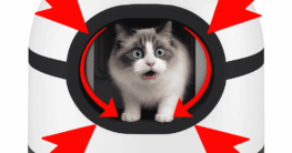 automatisches Katzenklo gefährlich